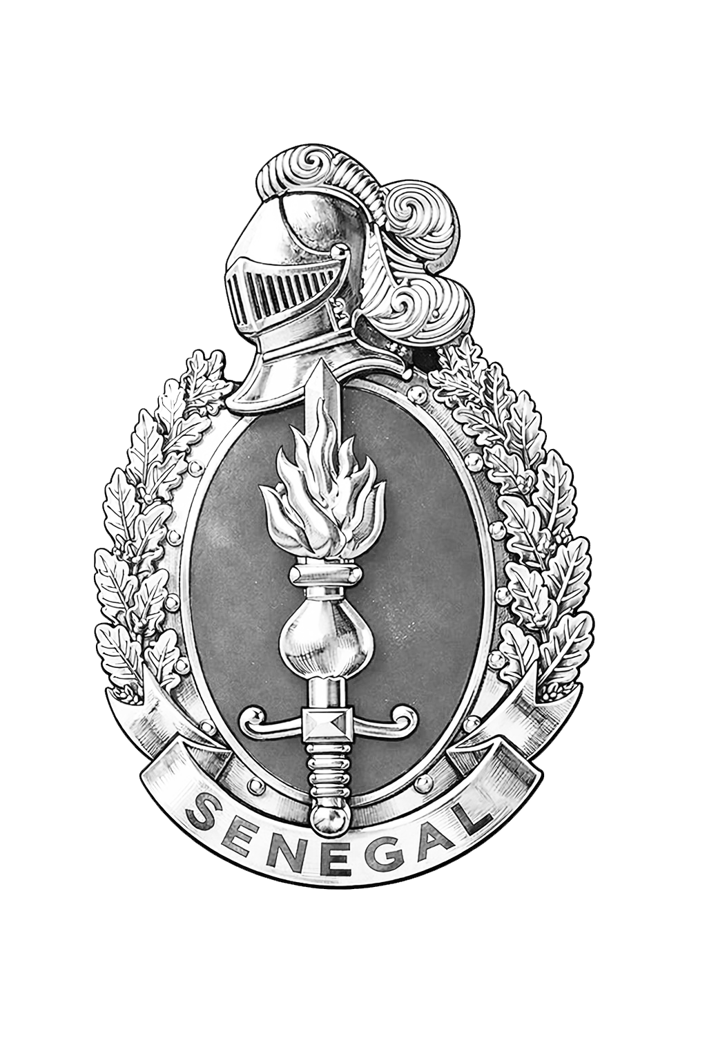 RH Gendarmerie SN